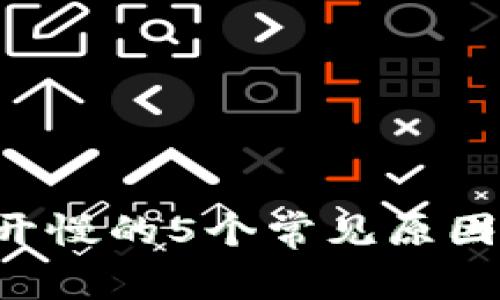 LTC钱包打开慢的5个常见原因与解决方案