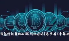 : TP钱包跨链转USDT遇到账延