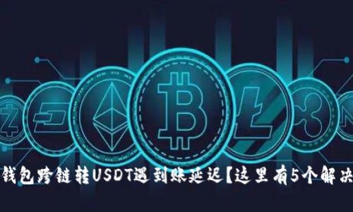 : TP钱包跨链转USDT遇到账延迟？这里有5个解决方案