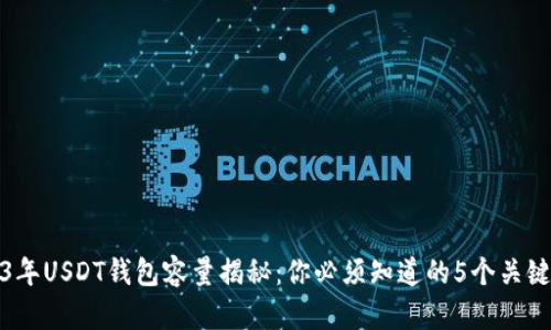 2023年USDT钱包容量揭秘：你必须知道的5个关键数据