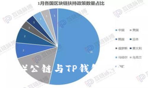 深入解析中本聪币（BTCs）公链与TP钱包：2023年最新动态与前景展望