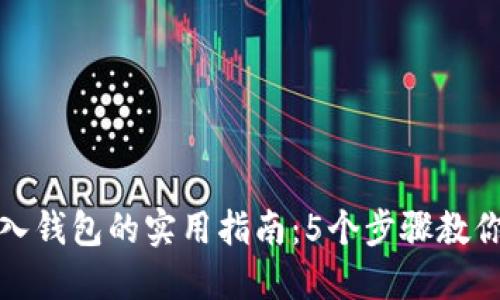 比特币转入钱包的实用指南：5个步骤教你轻松实现