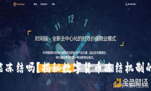 钱包里的 USDT 能冻结吗？揭秘数字货币冻结机制的 6 个关键知识点