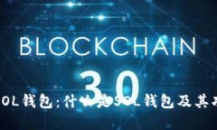 深入了解SOL钱包：什么是
