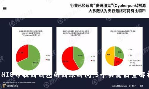 SHIB币提到钱包的到账时间：5个关键因素解析