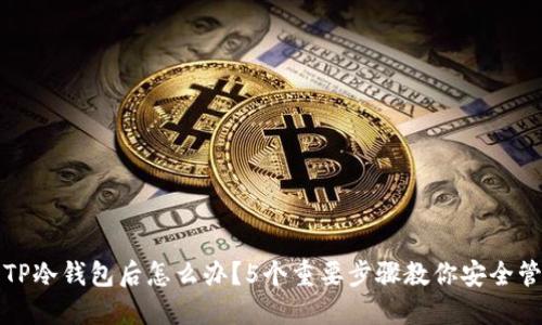 提币到TP冷钱包后怎么办？5个重要步骤教你安全管理资产