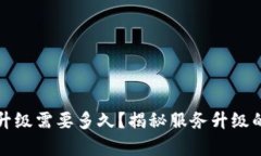 TP钱包服务升级需要多久？