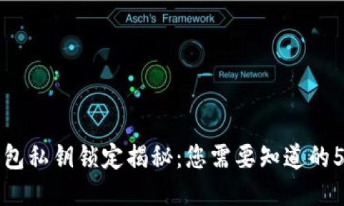 狗狗币钱包私钥锁定揭秘：您需要知道的5个关键点