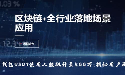 2023年小金库钱包USDT使用人数飙升至500万：揭秘用户画像和应用场景