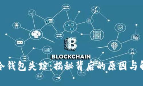 比特币冷钱包失踪：揭秘背后的原因与解决方案