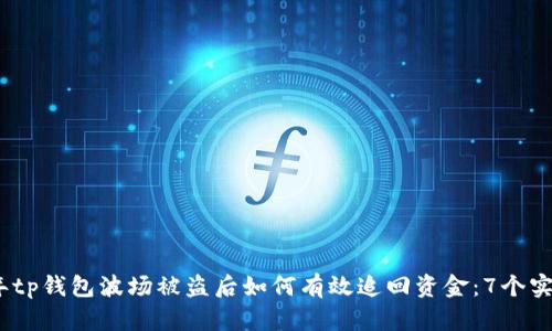 2023年tp钱包波场被盗后如何有效追回资金：7个实用步骤