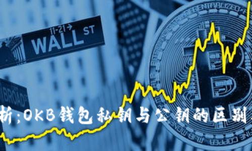 2023年深度解析：OKB钱包私钥与公钥的区别及安全使用指南