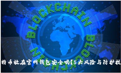 比特币放在官网钱包安全吗？5大风险与防护技巧