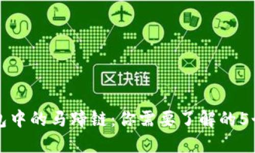 TP钱包中的马蹄链：你需要了解的5个要点