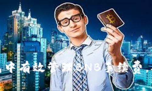 如何在TP钱包中有效管理BNB手续费，确保顺利转账