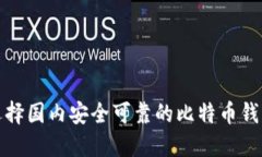 如何选择国内安全可靠的