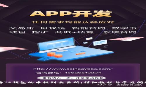 如何将TP钱包的币提到交易所：详细教程与常见问题解析