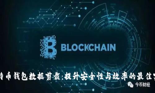 比特币钱包数据剪裁：提升安全性与效率的最佳实践