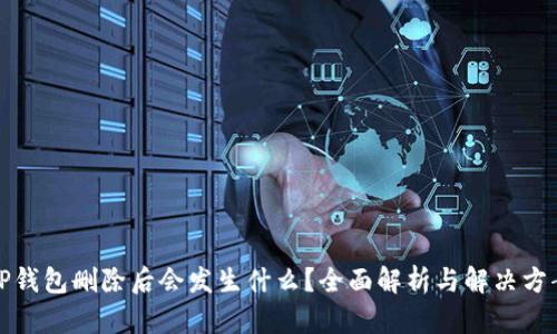 TP钱包删除后会发生什么？全面解析与解决方案