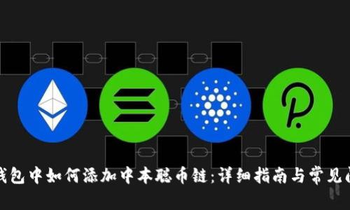 : 在TP钱包中如何添加中本聪币链：详细指南与常见问题解答