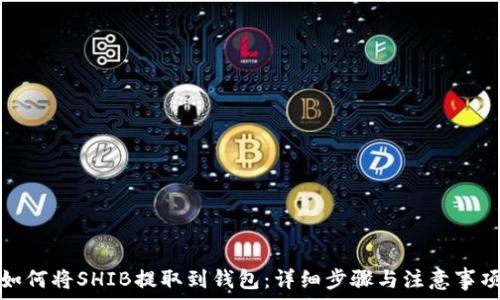   
如何将SHIB提取到钱包：详细步骤与注意事项